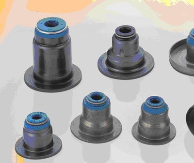 Valve Stem Seals