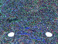 Interior Clip-on Adjustable Lights Mirror