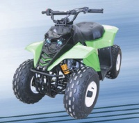 All Terrain Vehicle(ATV)