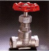 GLOBE VALVE