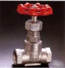 GLOBE VALVE