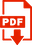PDF Download 